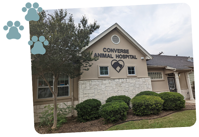 Converse Animal Hospital Image